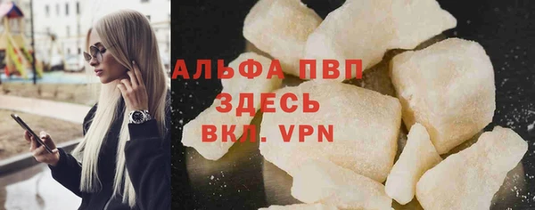 прущие грибы Снежинск