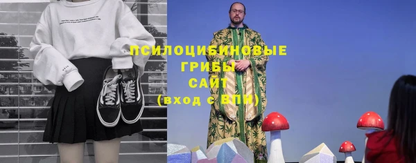 прущие крисы Арсеньев
