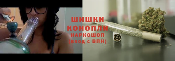 прущие крисы Арсеньев